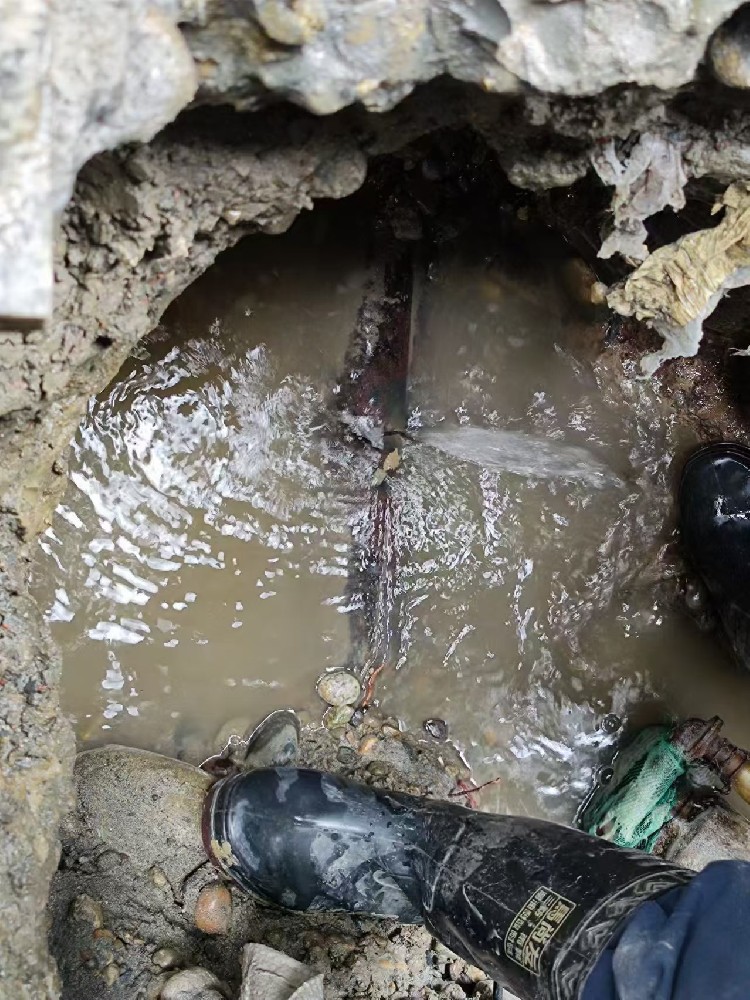 龙川地区绿化水管漏水检测维修
